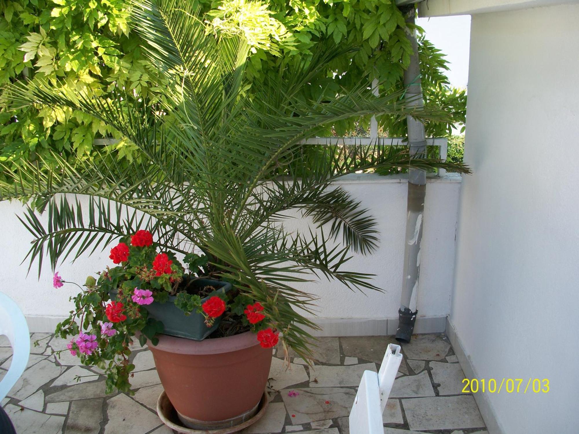 Apartmani Surlin Hvar Town Exterior foto