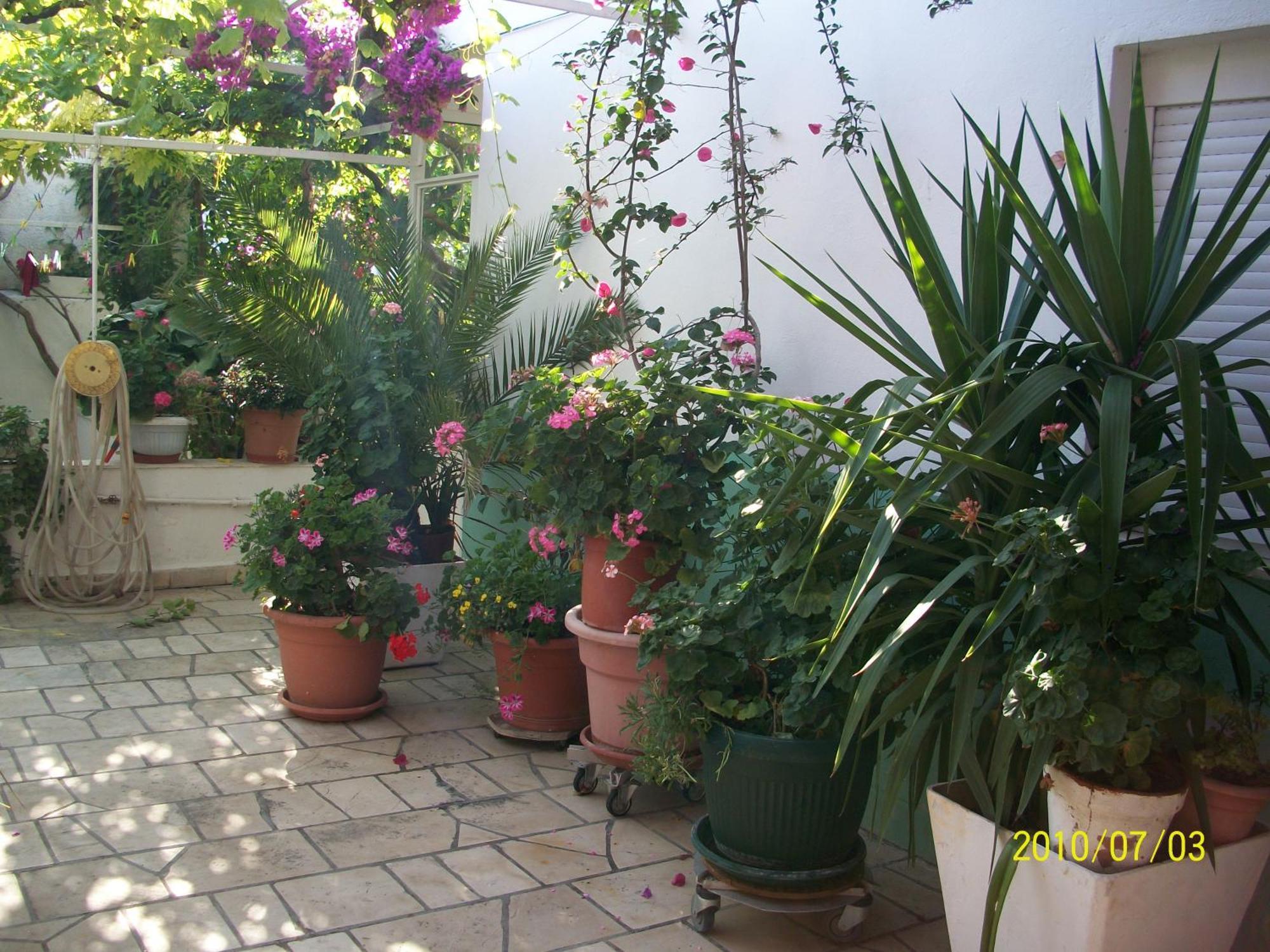 Apartmani Surlin Hvar Town Exterior foto